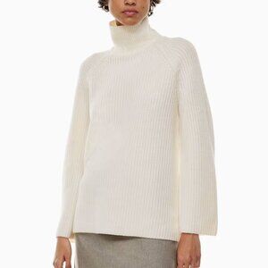 Aritzia Merino Wool Knit Turtleneck